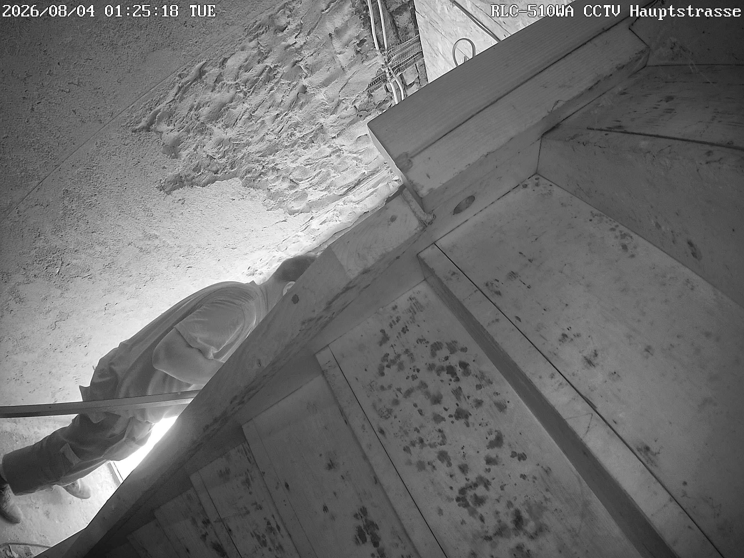 RLC-510WA CCTV Hauptstrasse_00_20260804012518.jpg